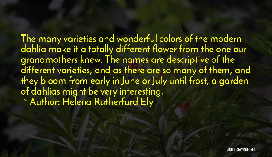 Dahlia Flower Quotes By Helena Rutherfurd Ely