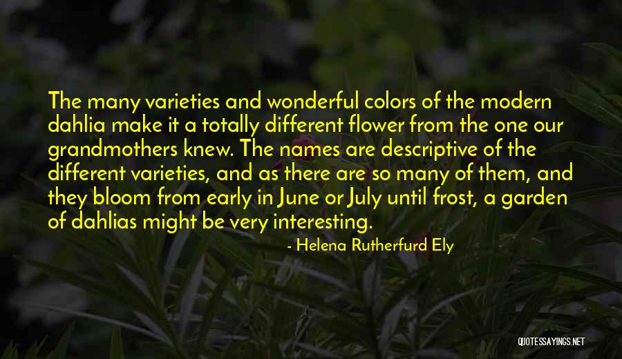 Dahlia Flower Quotes By Helena Rutherfurd Ely