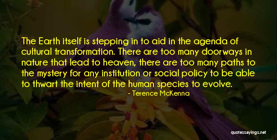 Dahmani Francois Quotes By Terence McKenna Dahmani Francois Quotes By Terence McKenna