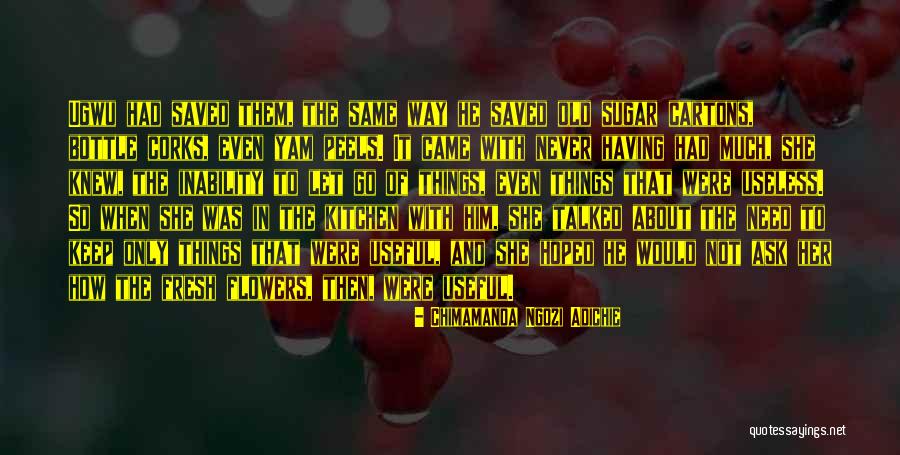 Dahnj Quotes By Chimamanda Ngozi Adichie Dahnj Quotes By Chimamanda Ngozi Adichie