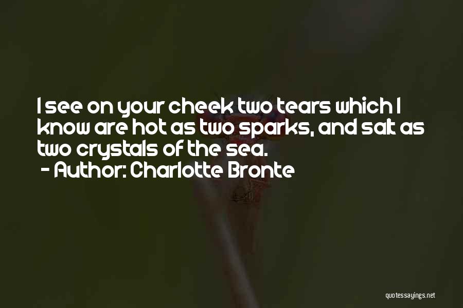 Daiane Dos Quotes By Charlotte Bronte