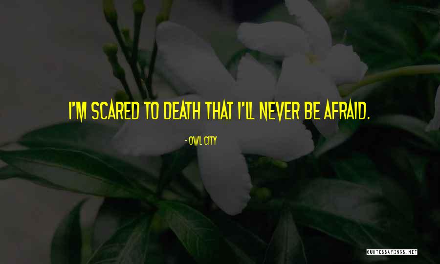 Daichi Death Quotes By Owl City Daichi Death Quotes By Owl City