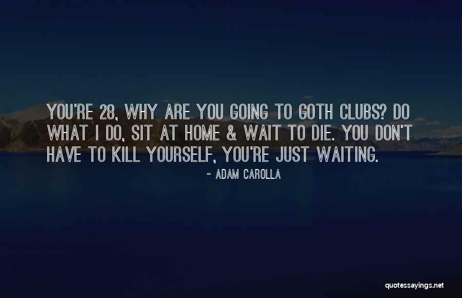 Daija Harris Quotes By Adam Carolla Daija Harris Quotes By Adam Carolla