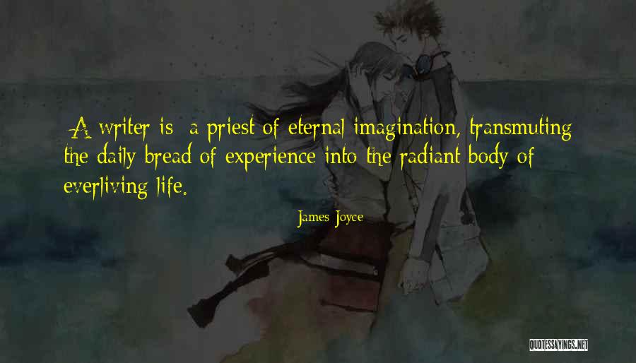 Daily Experience Quotes By James Joyce Daily Experience Quotes By James Joyce