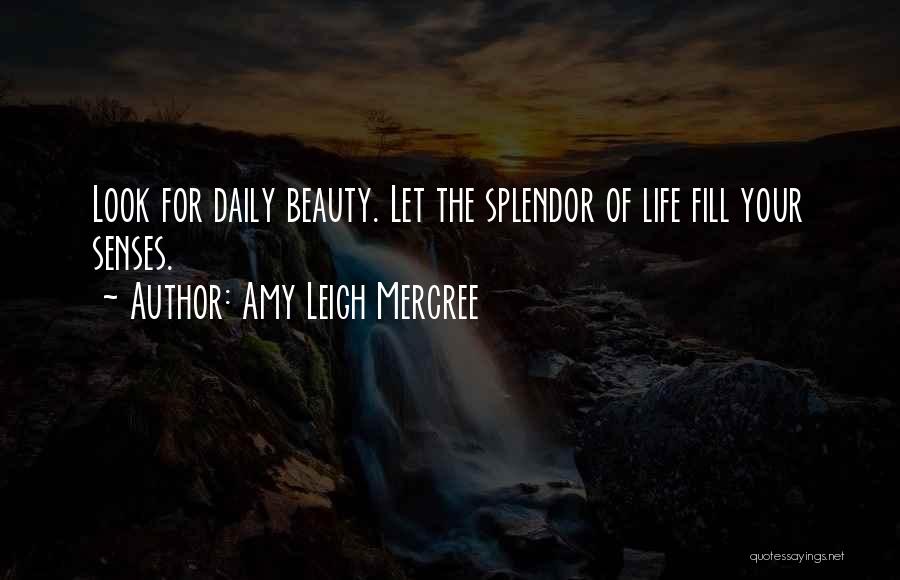 Daily Life Inspirational Quotes By Amy Leigh Mercree