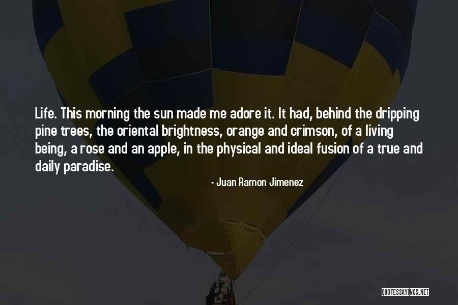 Daily Living Quotes By Juan Ramon Jimenez