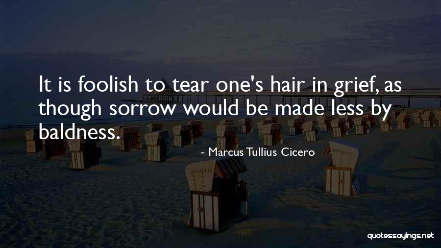 Daily Living Quotes By Marcus Tullius Cicero