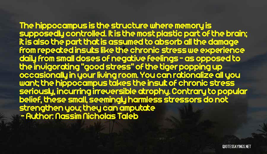 Daily Living Quotes By Nassim Nicholas Taleb