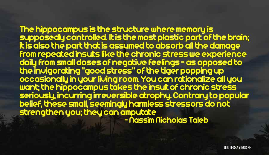 Daily Living Quotes By Nassim Nicholas Taleb