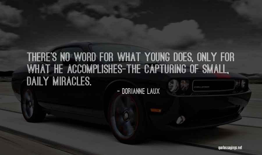 Daily Miracles Quotes By Dorianne Laux Daily Miracles Quotes By Dorianne Laux