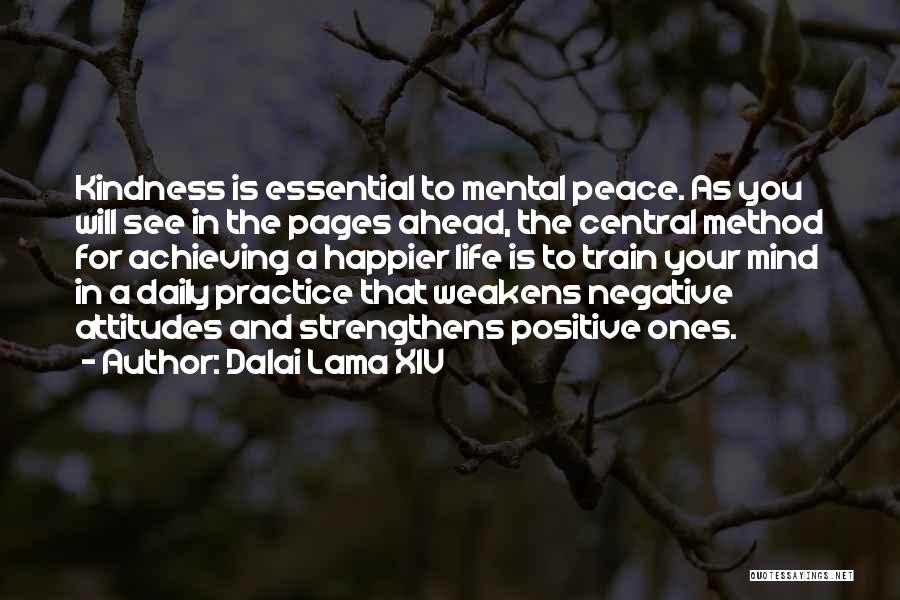 Daily Negative Quotes By Dalai Lama XIV