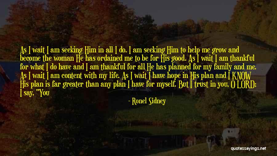 Daily Plan Quotes By Ronel Sidney