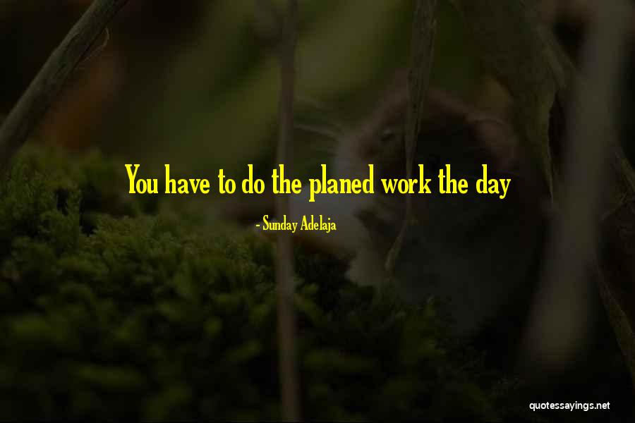 Daily Plan Quotes By Sunday Adelaja