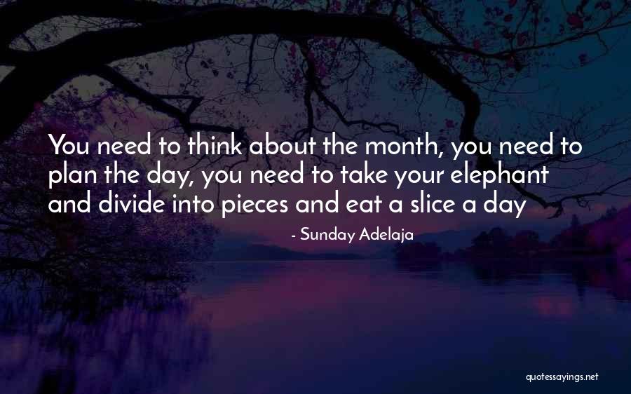 Daily Plan Quotes By Sunday Adelaja