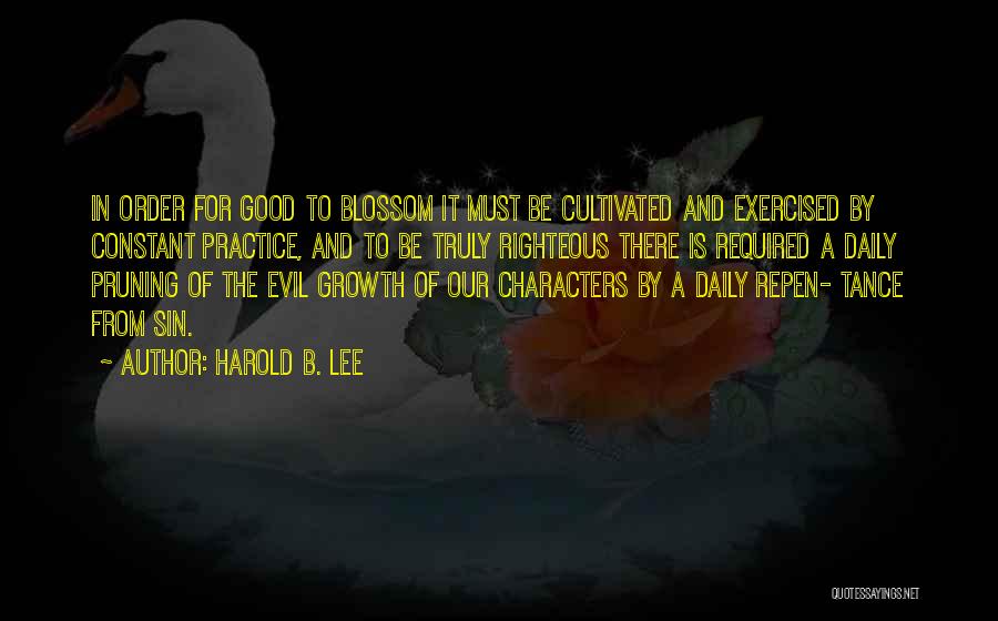 Daily Practice Quotes By Harold B. Lee