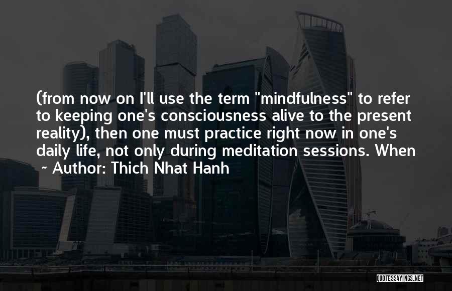 Daily Practice Quotes By Thich Nhat Hanh