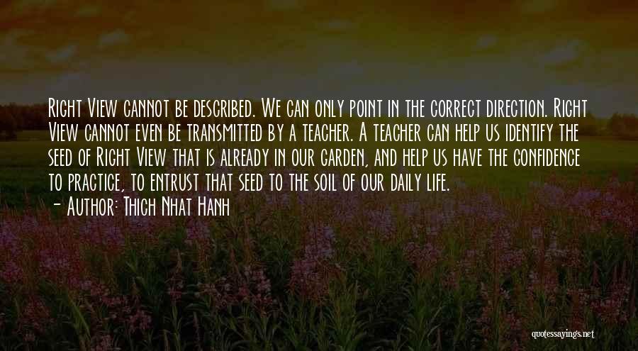 Daily Practice Quotes By Thich Nhat Hanh