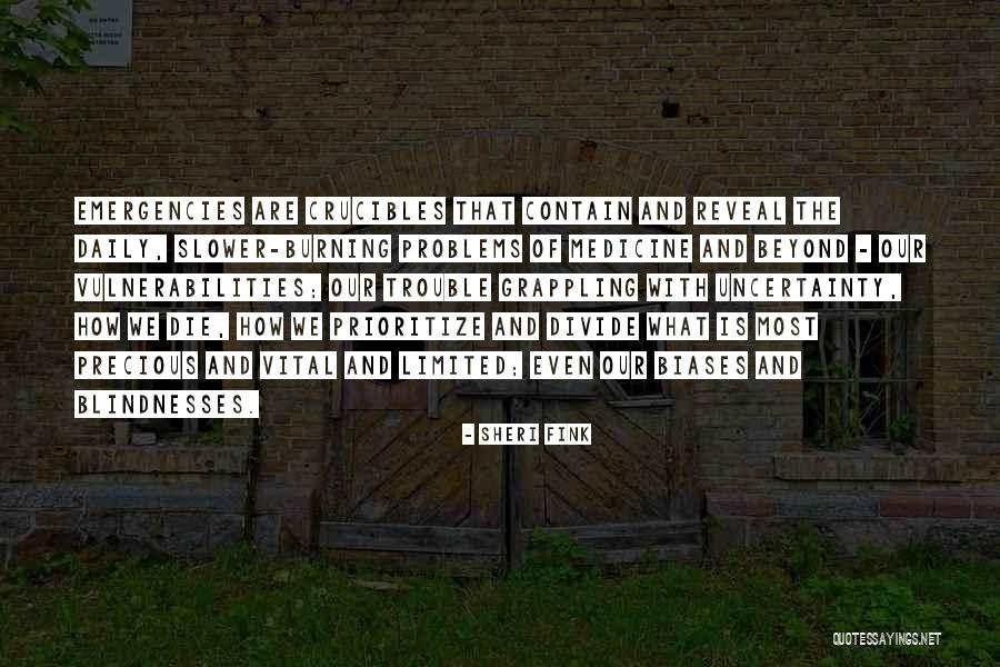 Daily Problems Quotes By Sheri Fink Daily Problems Quotes By Sheri Fink