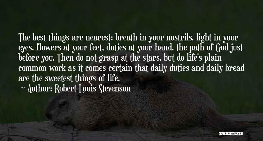 Daily Work Quotes By Robert Louis Stevenson