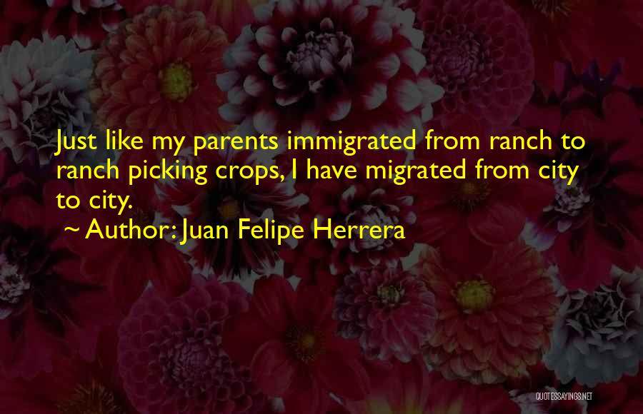 Daimonogony Quotes By Juan Felipe Herrera