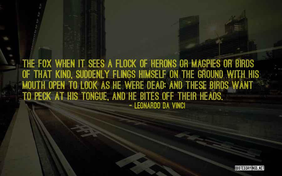 Dainagon Adzuki Quotes By Leonardo Da Vinci Dainagon Adzuki Quotes By Leonardo Da Vinci