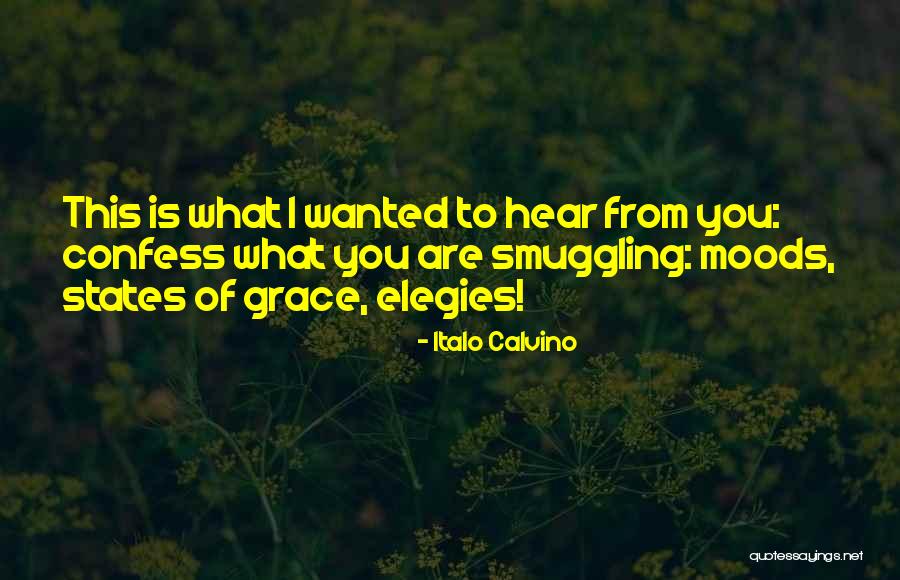 Dainna Cicotello Quotes By Italo Calvino Dainna Cicotello Quotes By Italo Calvino