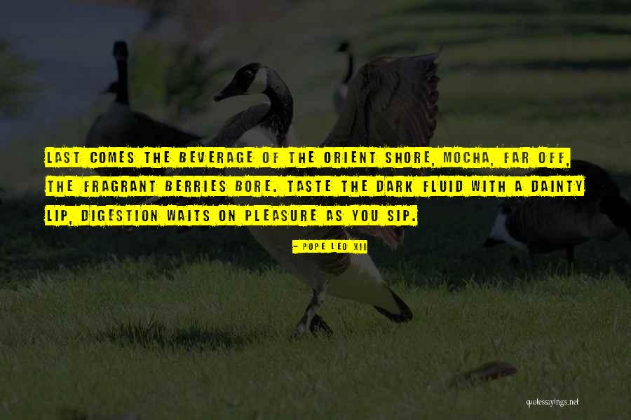 Dainty Quotes By Pope Leo XII Dainty Quotes By Pope Leo XII