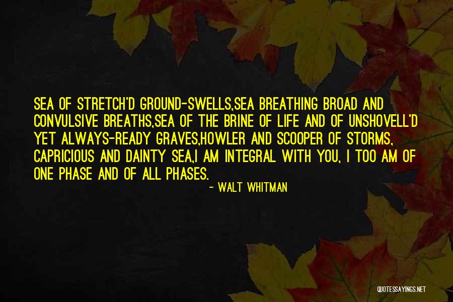 Dainty Quotes By Walt Whitman