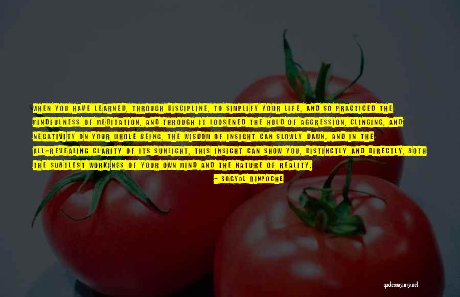 Daiquiri Shop Quotes By Sogyal Rinpoche Daiquiri Shop Quotes By Sogyal Rinpoche