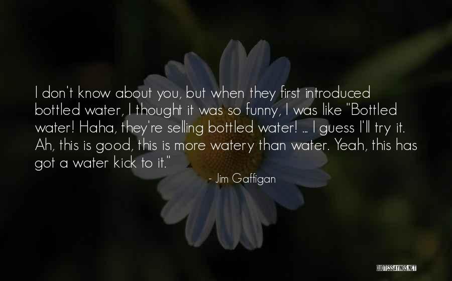 Daireann Quotes By Jim Gaffigan Daireann Quotes By Jim Gaffigan