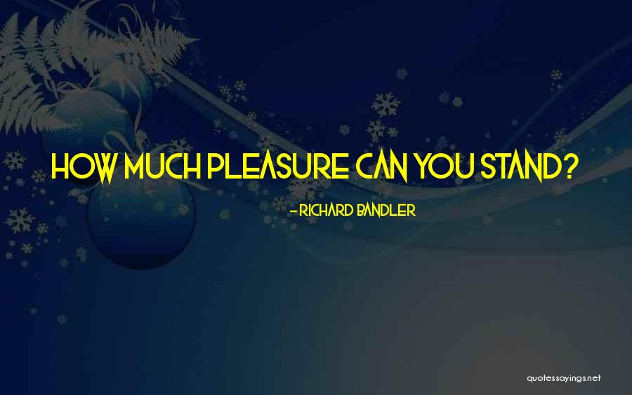 Daireann Quotes By Richard Bandler Daireann Quotes By Richard Bandler