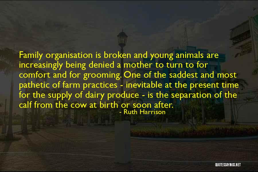 Dairy Farm Quotes By Ruth Harrison Dairy Farm Quotes By Ruth Harrison