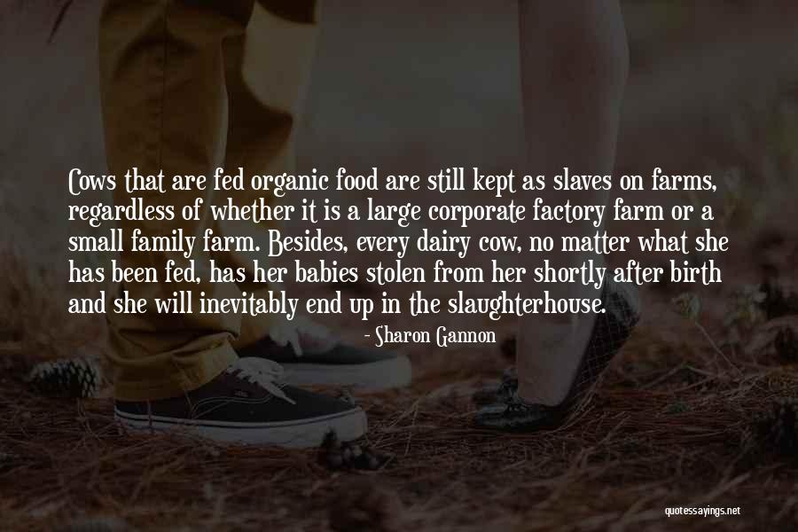 Dairy Farm Quotes By Sharon Gannon Dairy Farm Quotes By Sharon Gannon