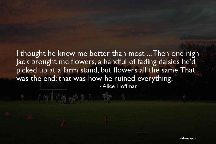 Daisies Flowers Quotes By Alice Hoffman Daisies Flowers Quotes By Alice Hoffman