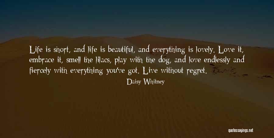 Daisy Whitney Quotes 1387583 Daisy Whitney Quotes 1387583