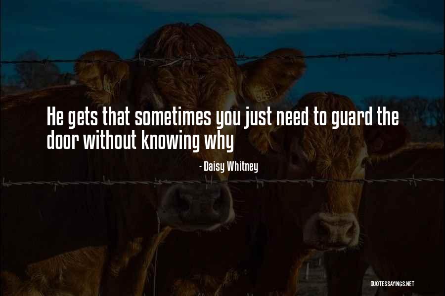 Daisy Whitney Quotes 952769 Daisy Whitney Quotes 952769