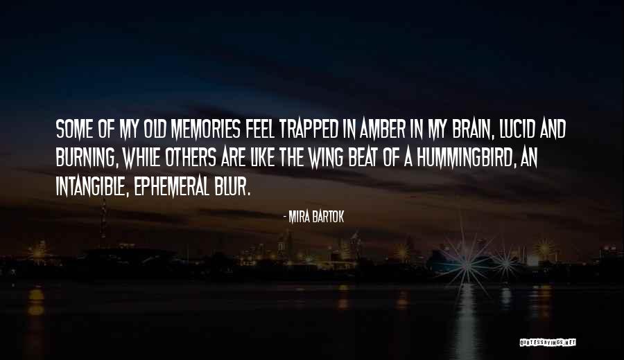 Daivon Harper Quotes By Mira Bartok Daivon Harper Quotes By Mira Bartok