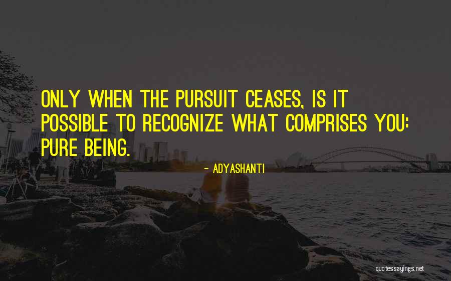Daiya Pizza Quotes By Adyashanti Daiya Pizza Quotes By Adyashanti