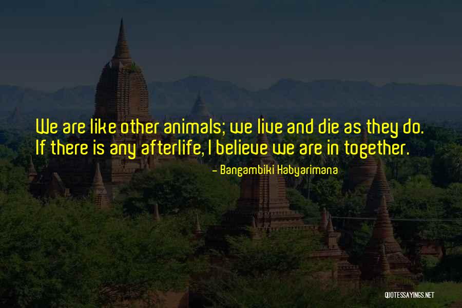 Dajour Rucker Quotes By Bangambiki Habyarimana Dajour Rucker Quotes By Bangambiki Habyarimana
