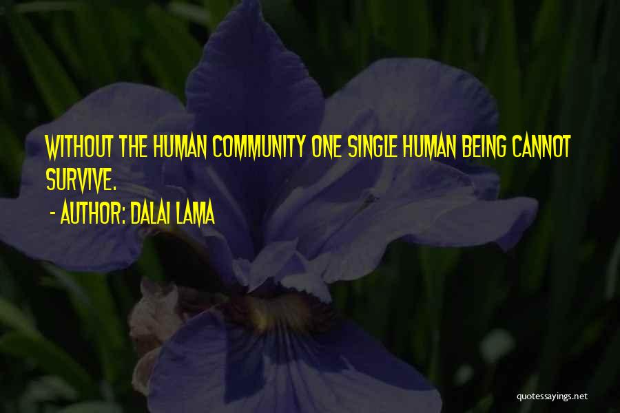 Dalai Lama Quotes 694185