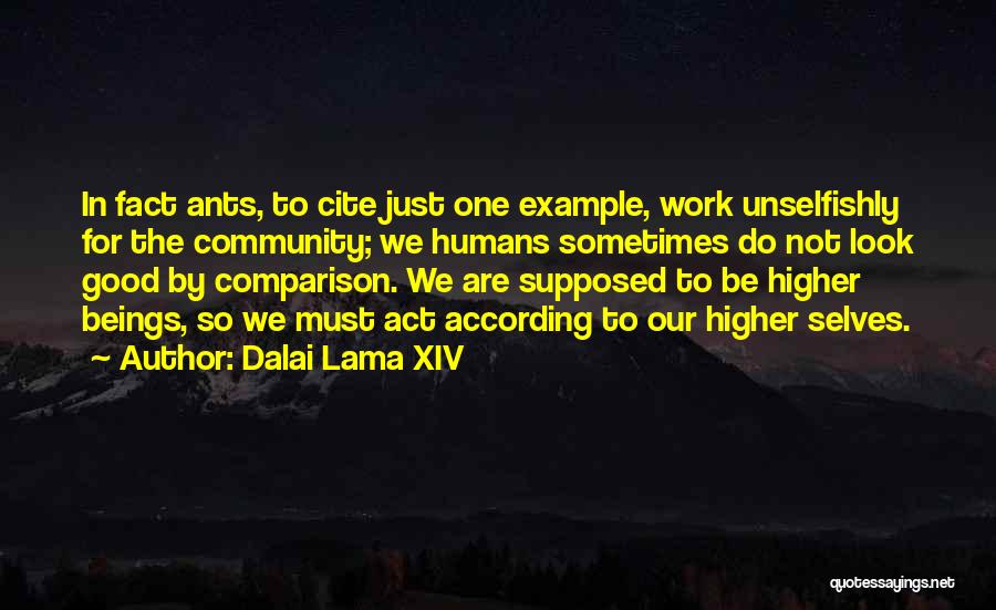 Dalai Lama XIV Quotes 1608824