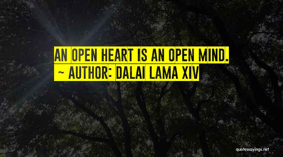 Dalai Lama XIV Quotes 171336