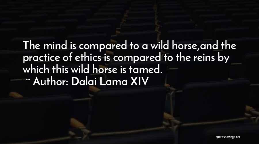 Dalai Lama XIV Quotes 788167