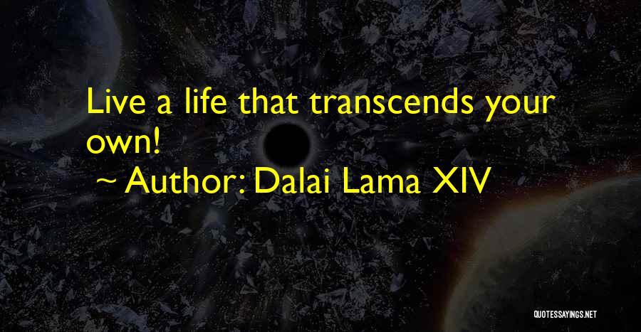 Dalai Lama XIV Quotes 974292