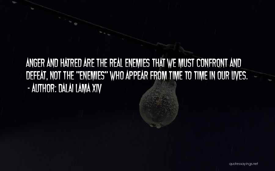 Dalai Quotes By Dalai Lama XIV