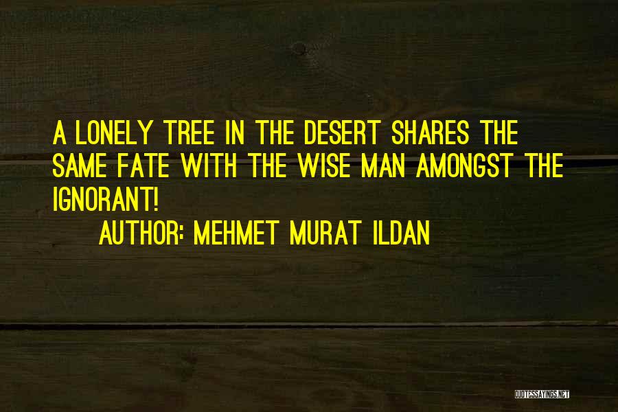 Dalaman Car Quotes By Mehmet Murat Ildan