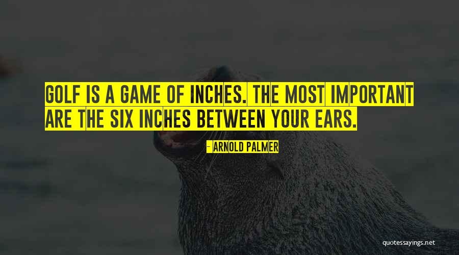 Dalay Pastillas Quotes By Arnold Palmer Dalay Pastillas Quotes By Arnold Palmer