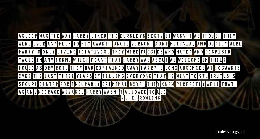 Dalemans Openhaarden Quotes By J.K. Rowling Dalemans Openhaarden Quotes By J.K. Rowling