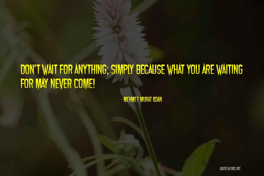 Daleshepherdfloridarealtor Quotes By Mehmet Murat Ildan Daleshepherdfloridarealtor Quotes By Mehmet Murat Ildan