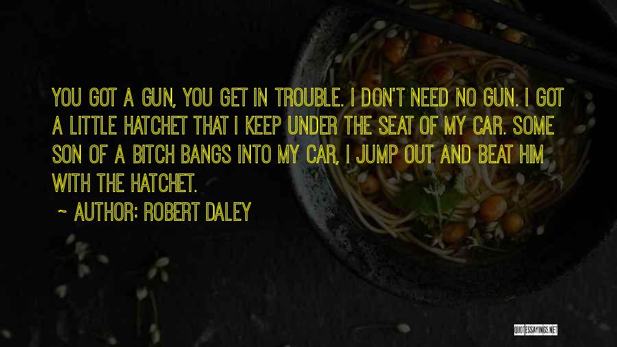 Daley Quotes By Robert Daley